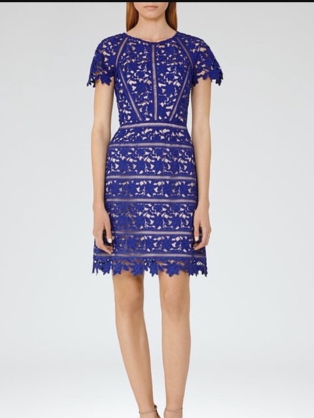 NWOT Reiss Orchid Dress in Sapphire Size US 8